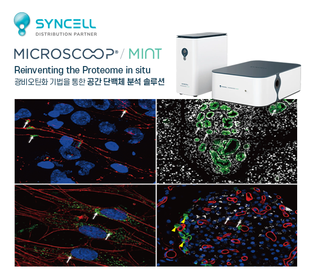 Syncell